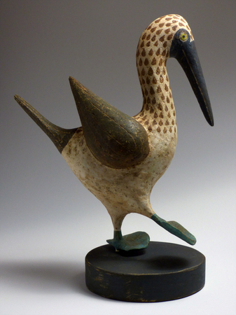 Blue Footed Booby