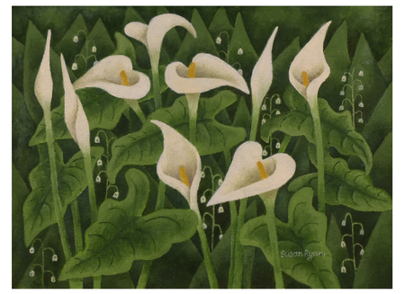Calla Lilies