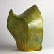 Hosta