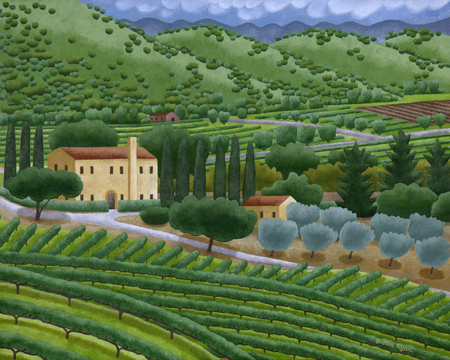 Napa Vineyards