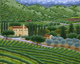 Napa Vineyards
