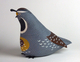 Quail