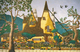 Witch's House